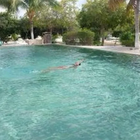 Beachfront Apartment With Swimming Pool. One Bedroom Celestun Exterior photo