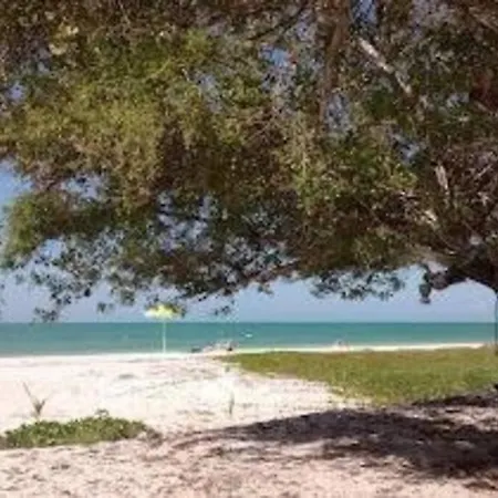 Beachfront Apartment With Swimming Pool. One Bedroom Celestun Exterior photo