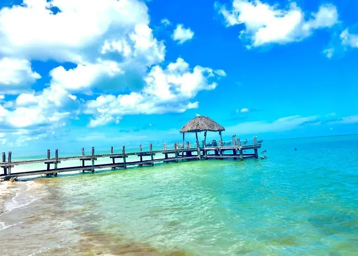 Beachfront Apartment With Swimming Pool. One Bedroom