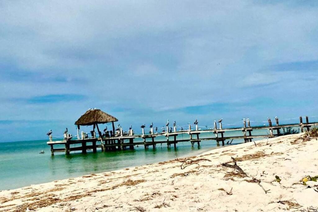 Beachfront With Swimming Pool. One Bedroom