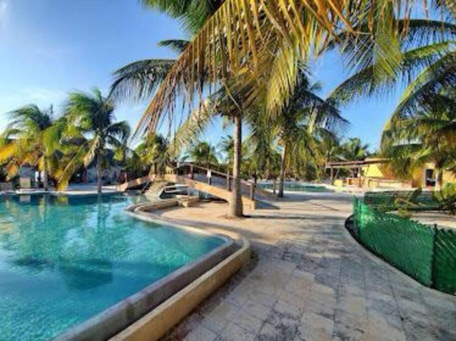 Beachfront With Swimming Pool. One Bedroom * Celestun