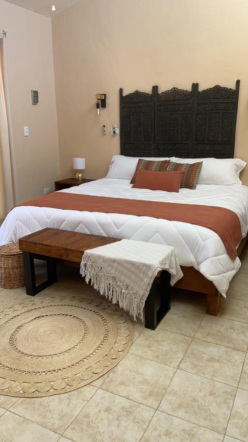 Beachfront With Swimming Pool. One Bedroom Celestun