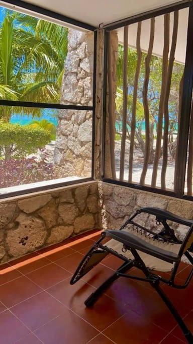 Beachfront With Swimming Pool. One Bedroom * Celestun