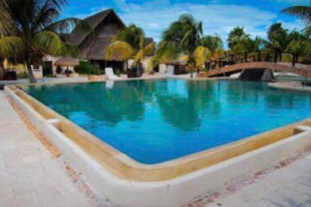 Beachfront With Swimming Pool. One Bedroom Apartment *