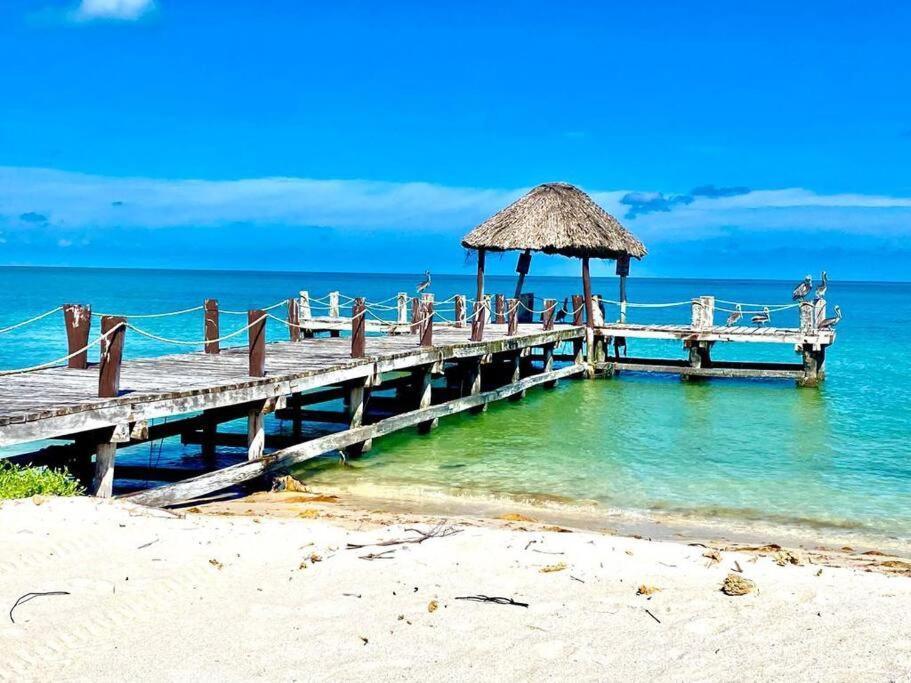 Apartment Beachfront With Swimming Pool. One Bedroom