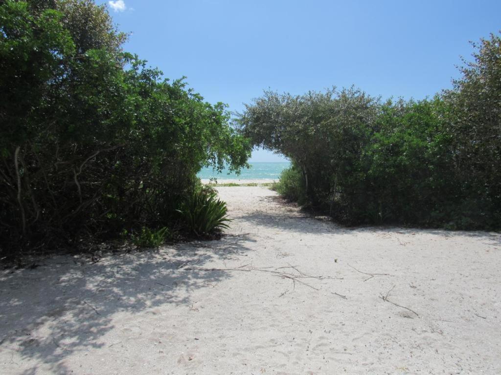 Beachfront With Swimming Pool. One Bedroom Apartment