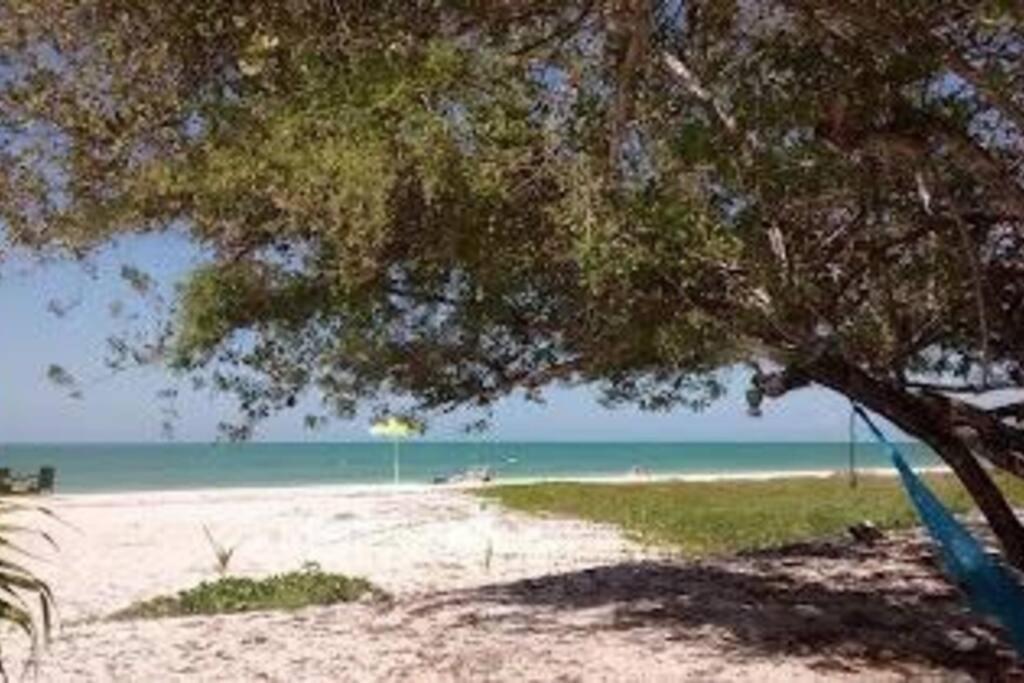 Beachfront With Swimming Pool. One Bedroom *